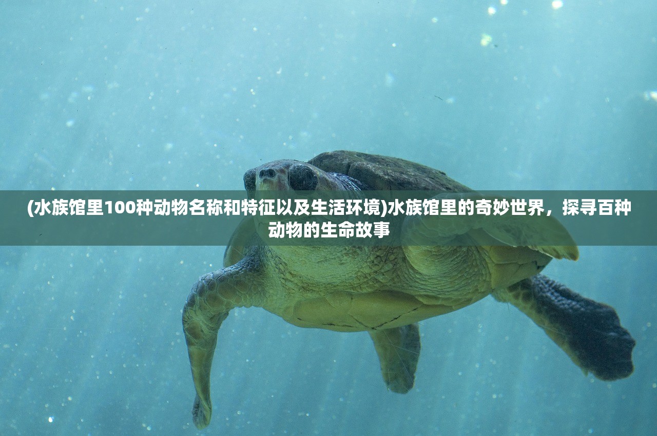(水族馆里100种动物名称和特征以及生活环境)水族馆里的奇妙世界，探寻百种动物的生命故事