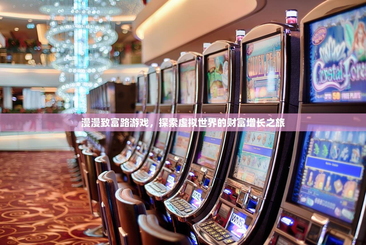 漫漫致富路游戏，探索虚拟世界的财富增长之旅