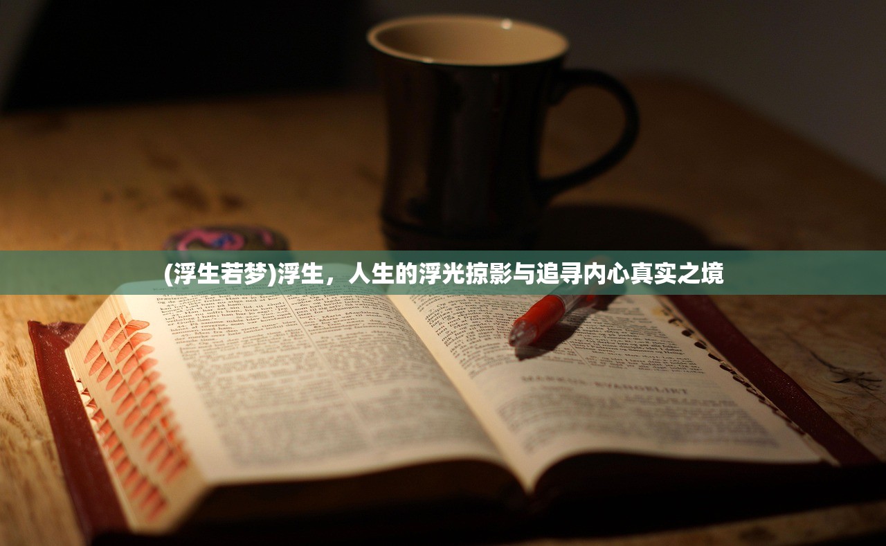 (浮生若梦)浮生，人生的浮光掠影与追寻内心真实之境