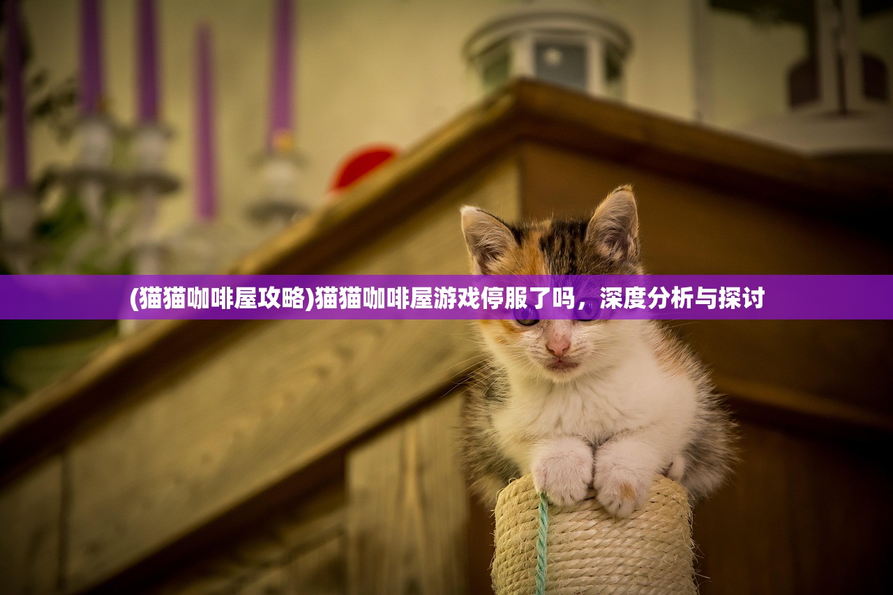 (猫猫咖啡屋攻略)猫猫咖啡屋游戏停服了吗，深度分析与探讨