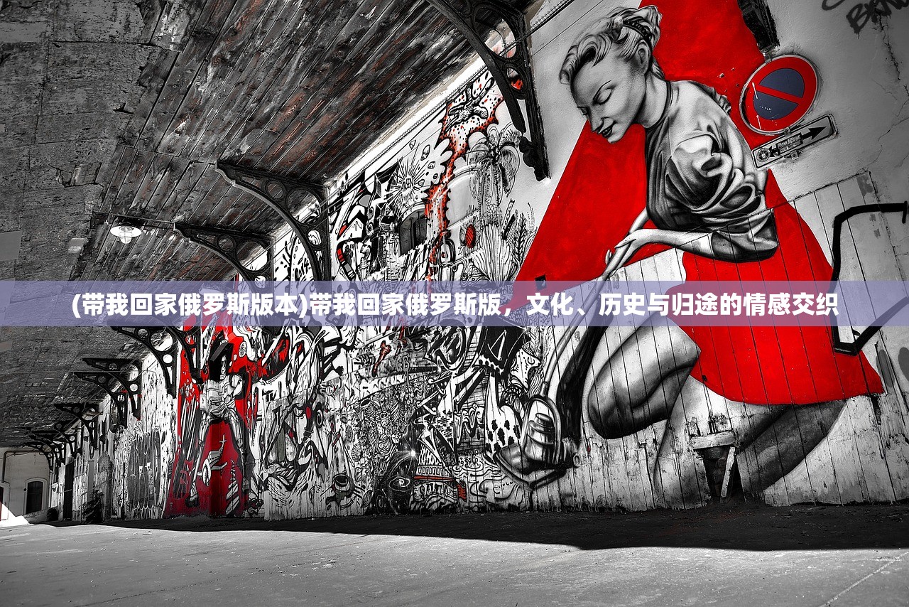 (带我回家俄罗斯版本)带我回家俄罗斯版，文化、历史与归途的情感交织