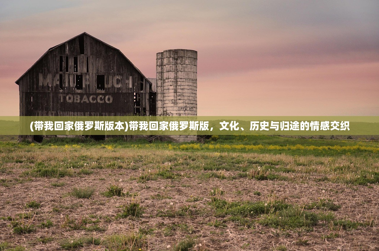 (带我回家俄罗斯版本)带我回家俄罗斯版，文化、历史与归途的情感交织