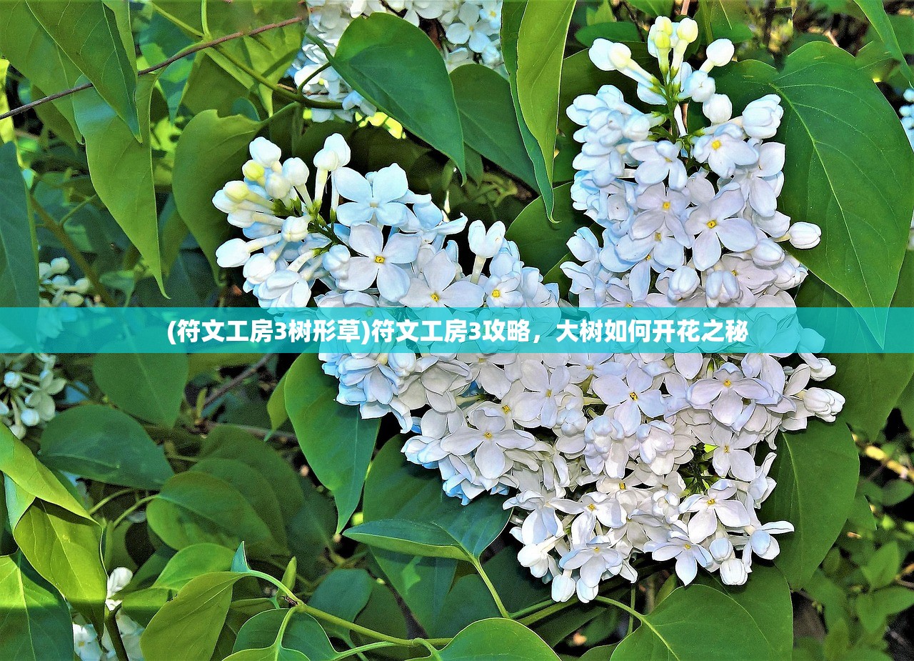 (符文工房3树形草)符文工房3攻略，大树如何开花之秘