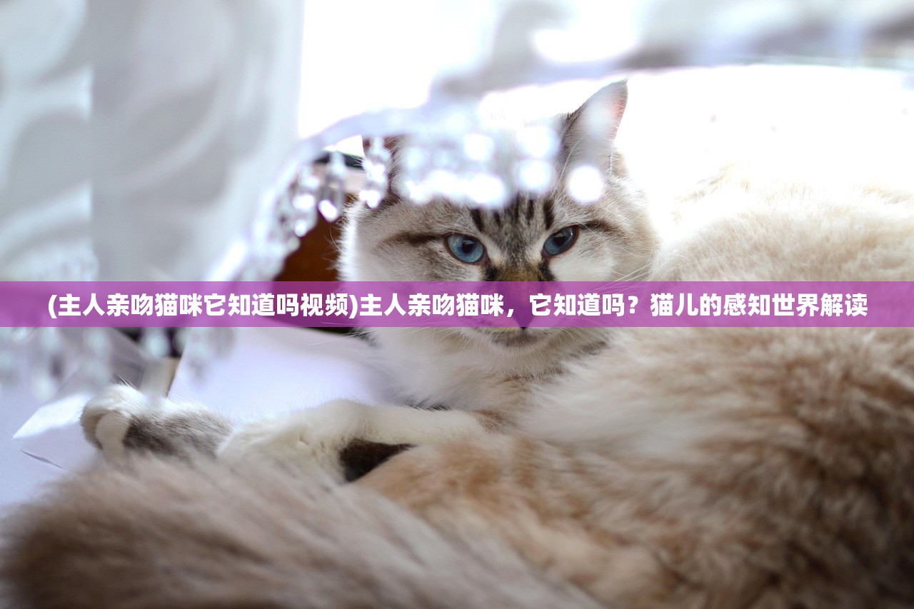 (纵剑仙界优先做哪个角色)纵剑仙界，揭秘哪个版本已开服至1140章