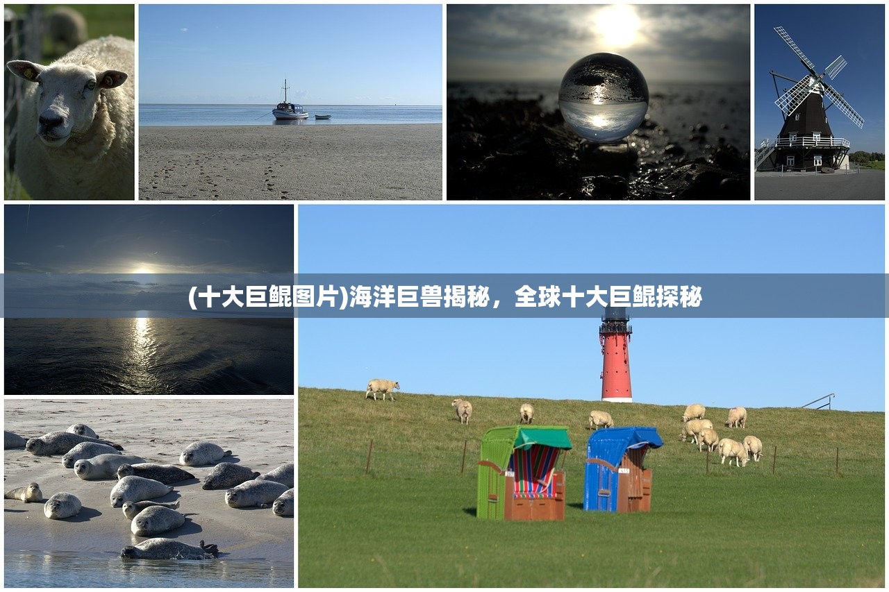 (十大巨鲲图片)海洋巨兽揭秘，全球十大巨鲲探秘