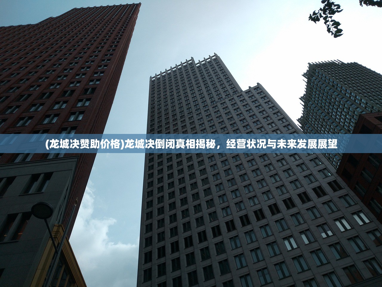 (龙城决赞助价格)龙城决倒闭真相揭秘，经营状况与未来发展展望