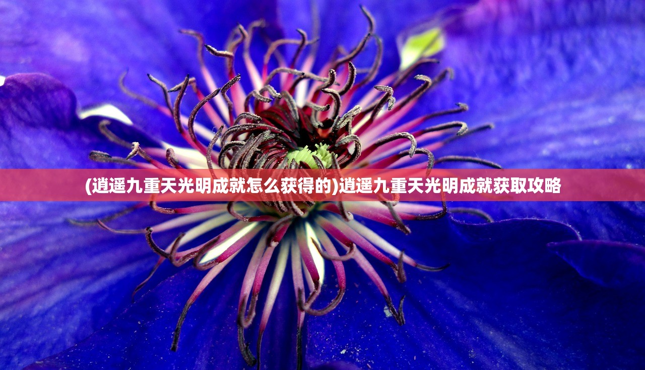 (逍遥九重天光明成就怎么获得的)逍遥九重天光明成就获取攻略
