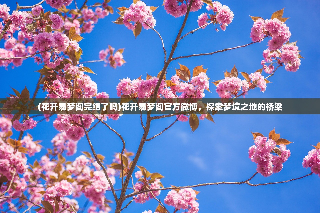 (花开易梦阁完结了吗)花开易梦阁官方微博，探索梦境之地的桥梁