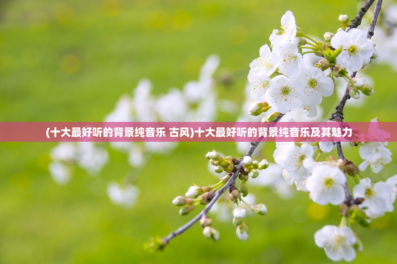 (十大最好听的背景纯音乐 古风)十大最好听的背景纯音乐及其魅力