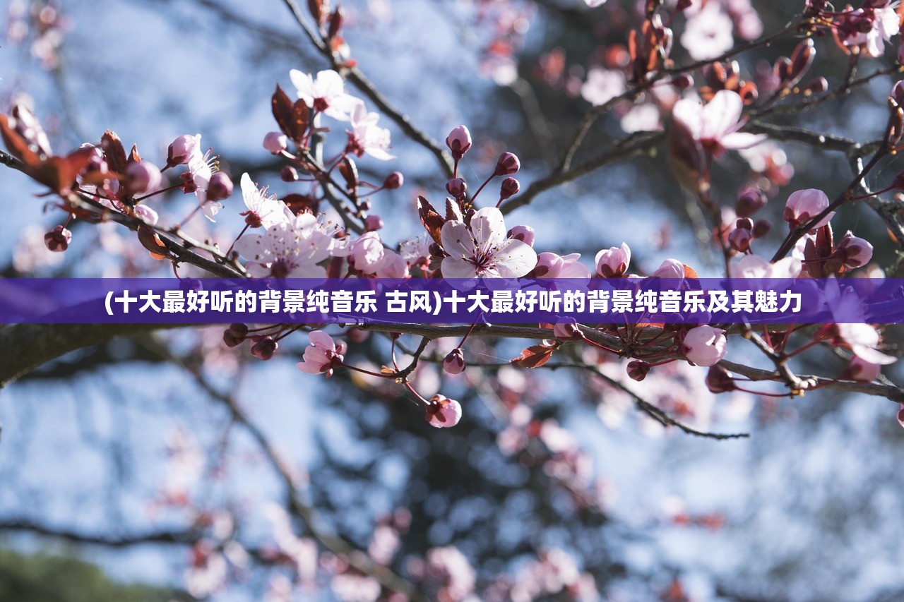 (十大最好听的背景纯音乐 古风)十大最好听的背景纯音乐及其魅力