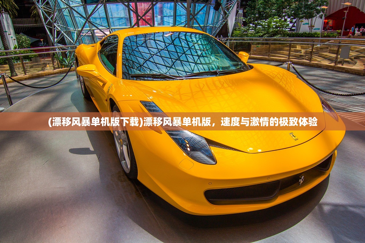 (漂移风暴单机版下载)漂移风暴单机版，速度与激情的极致体验