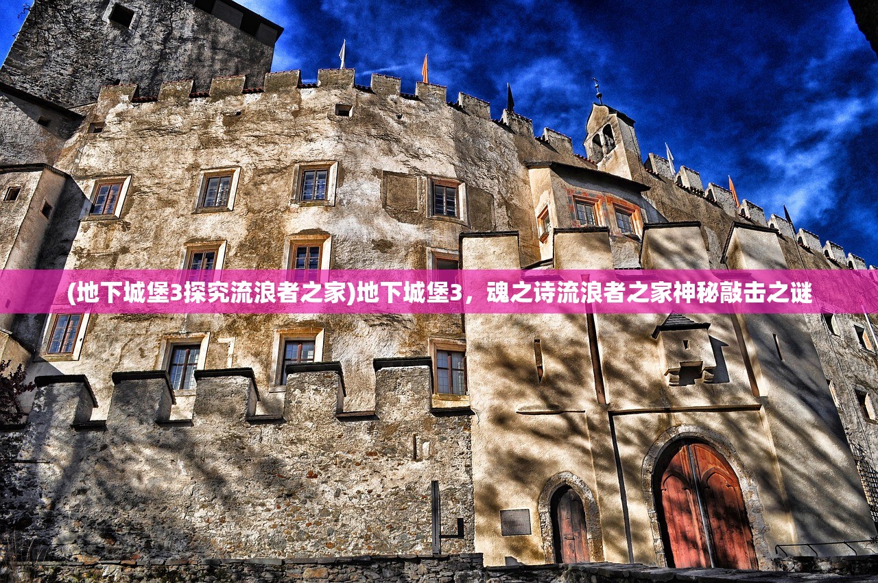 (元梦之星怎么免费领皮肤2024)元梦之星免费领取皮肤攻略及常见问题解答