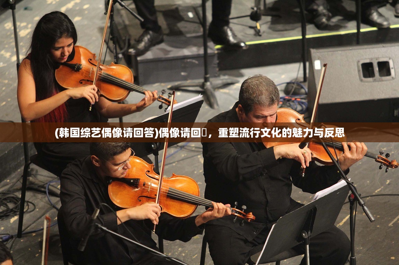 (韩国综艺偶像请回答)偶像请回筿，重塑流行文化的魅力与反思