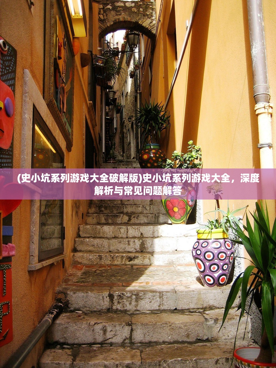 (史小坑系列游戏大全破解版)史小坑系列游戏大全，深度解析与常见问题解答