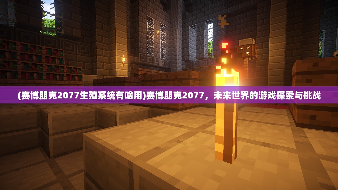 (赛博朋克2077生殖系统有啥用)赛博朋克2077，未来世界的游戏探索与挑战