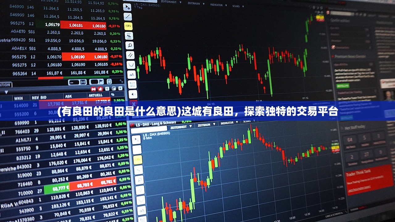 (有良田的良田是什么意思)这城有良田，探索独特的交易平台