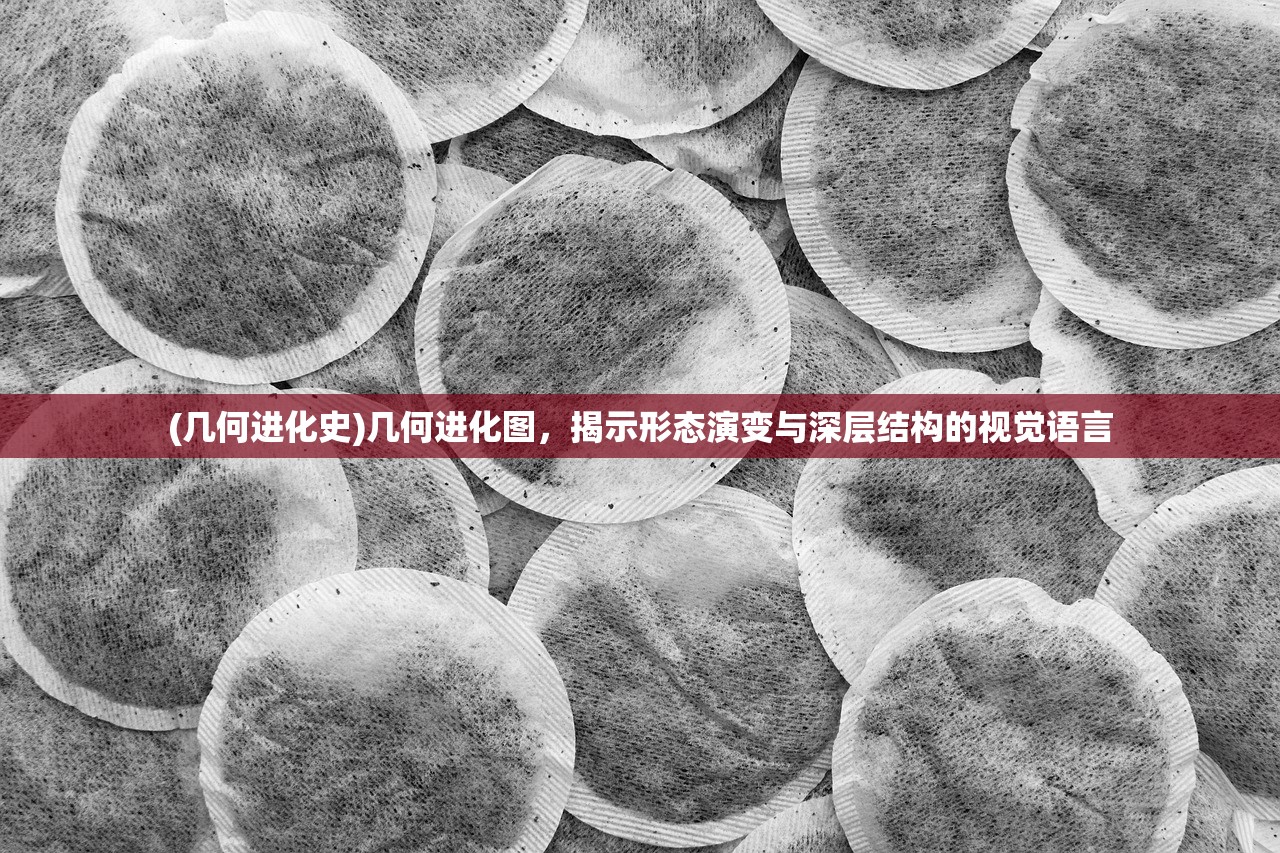 (几何进化史)几何进化图，揭示形态演变与深层结构的视觉语言
