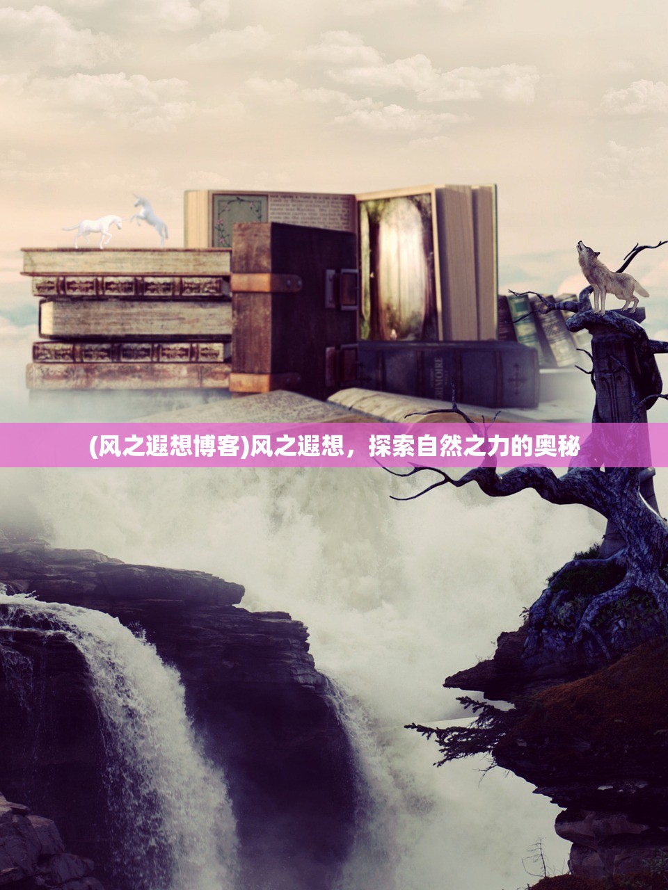 (风之遐想博客)风之遐想，探索自然之力的奥秘