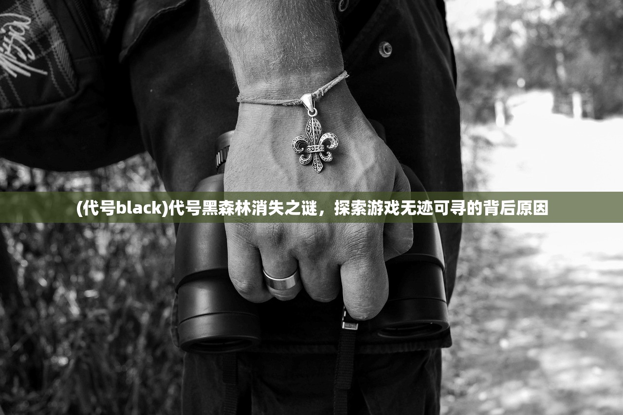 (代号black)代号黑森林消失之谜，探索游戏无迹可寻的背后原因