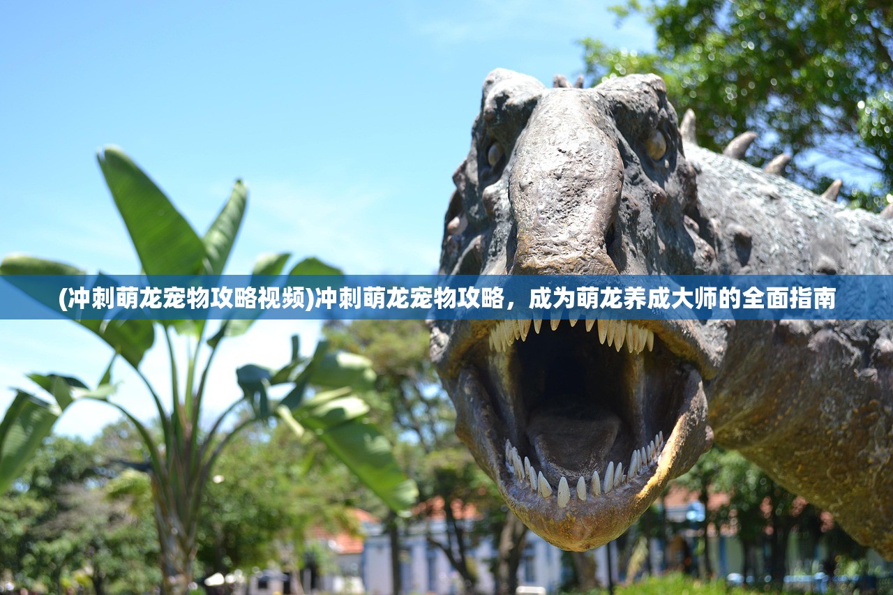 (冲刺萌龙宠物攻略视频)冲刺萌龙宠物攻略，成为萌龙养成大师的全面指南