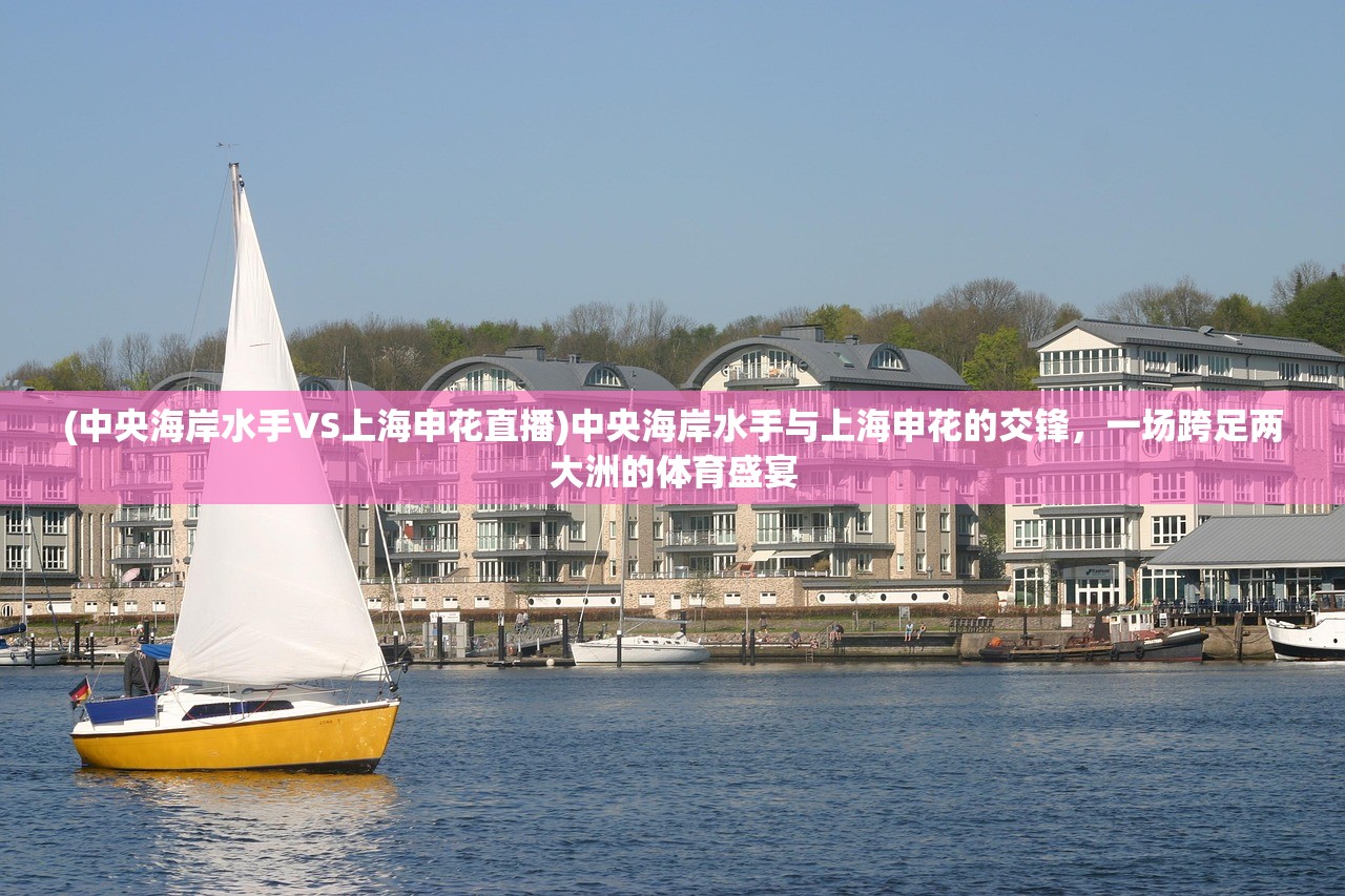 (中央海岸水手VS上海申花直播)中央海岸水手与上海申花的交锋，一场跨足两大洲的体育盛宴
