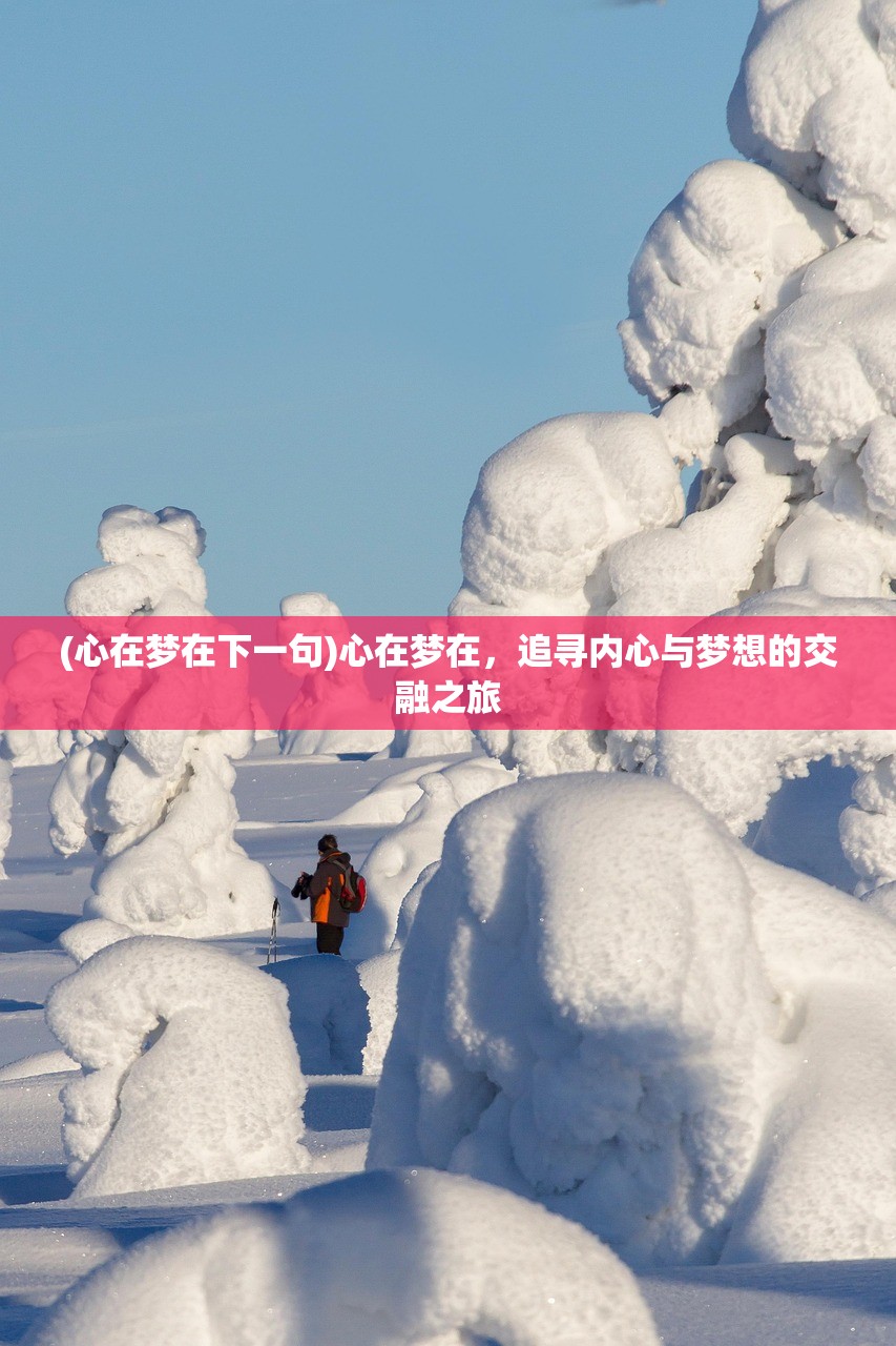 (心在梦在下一句)心在梦在，追寻内心与梦想的交融之旅