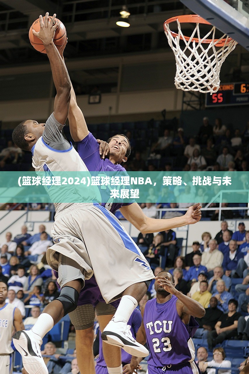 (篮球经理2024)篮球经理NBA，策略、挑战与未来展望
