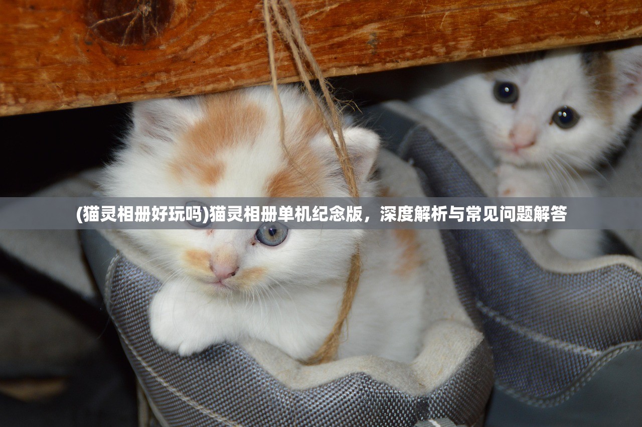 (猫灵相册好玩吗)猫灵相册单机纪念版，深度解析与常见问题解答
