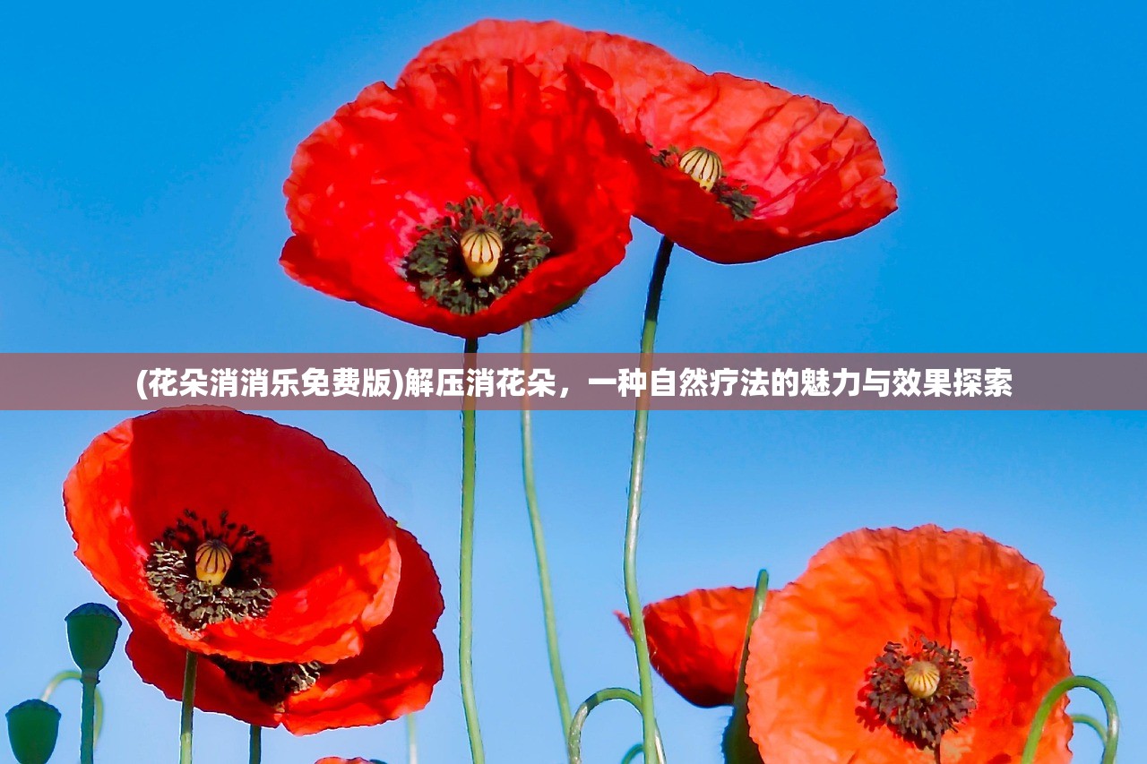 (花朵消消乐免费版)解压消花朵，一种自然疗法的魅力与效果探索