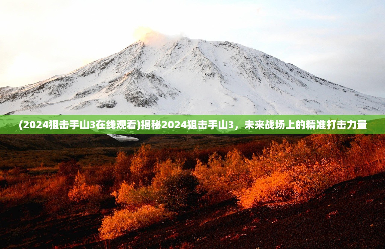(2024狙击手山3在线观看)揭秘2024狙击手山3，未来战场上的精准打击力量