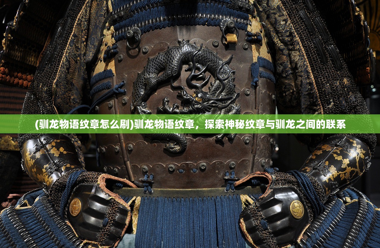(驯龙物语纹章怎么刷)驯龙物语纹章，探索神秘纹章与驯龙之间的联系
