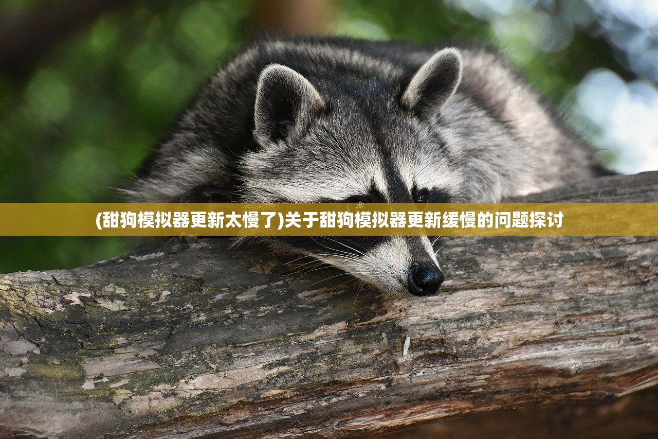 (甜狗模拟器更新太慢了)关于甜狗模拟器更新缓慢的问题探讨