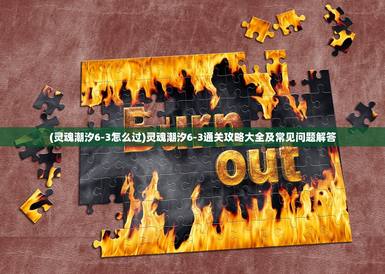 (灵魂潮汐6-3怎么过)灵魂潮汐6-3通关攻略大全及常见问题解答