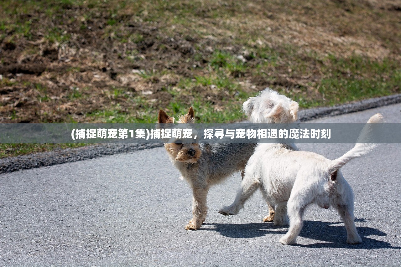 (魔兽争霸3客户端版本暂不支持)解决魔兽争霸客户端版本暂不支持问题的全面指南