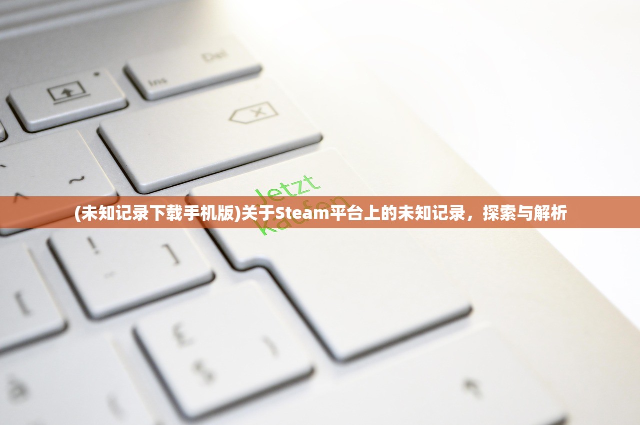 (未知记录下载手机版)关于Steam平台上的未知记录，探索与解析