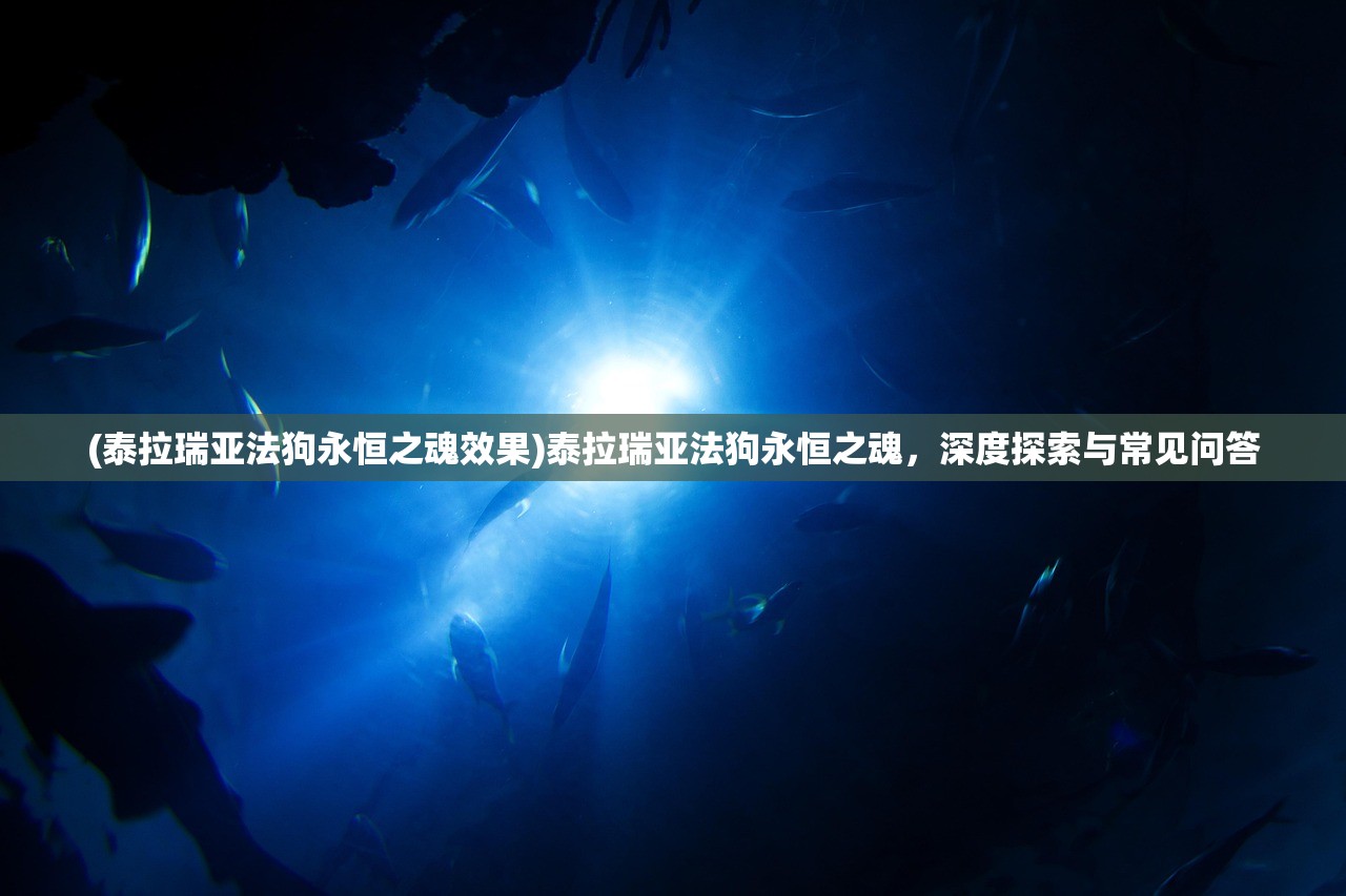 (泰拉瑞亚法狗永恒之魂效果)泰拉瑞亚法狗永恒之魂，深度探索与常见问答