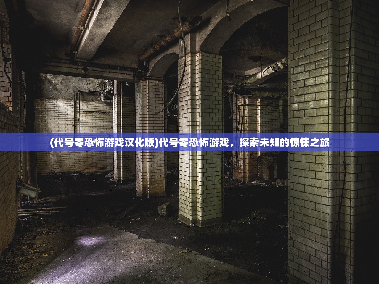 (代号零恐怖游戏汉化版)代号零恐怖游戏，探索未知的惊悚之旅