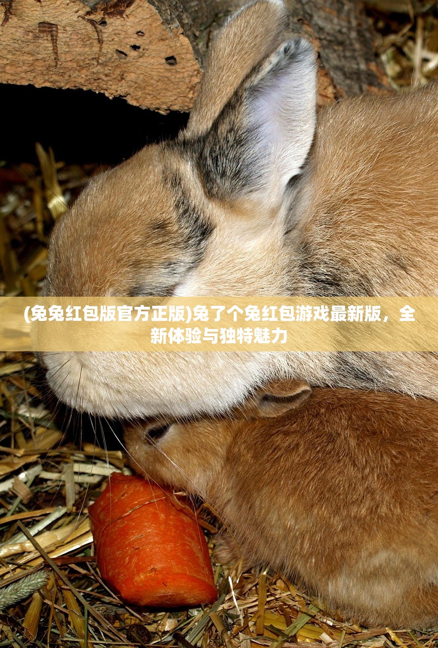 (兔兔红包版官方正版)兔了个兔红包游戏最新版，全新体验与独特魅力