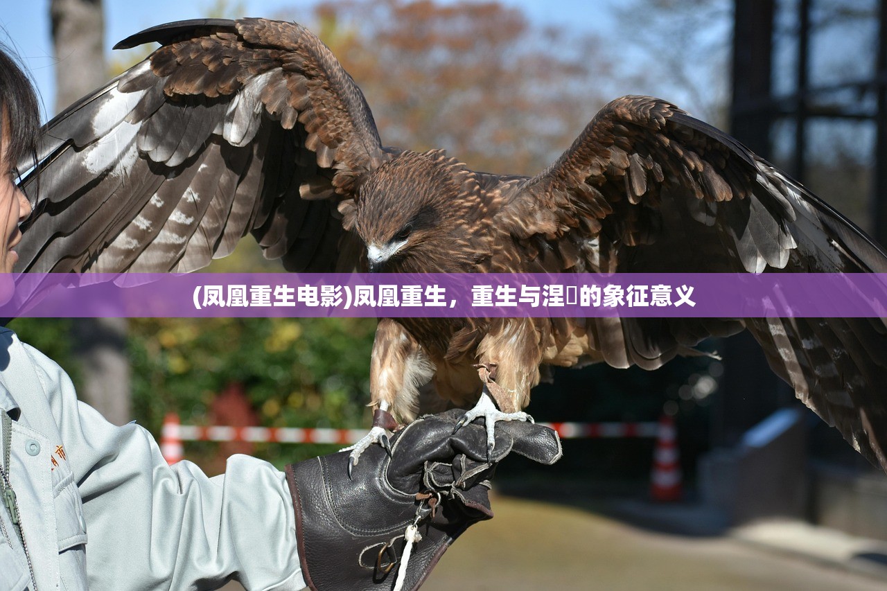 (凤凰重生电影)凤凰重生，重生与涅槃的象征意义