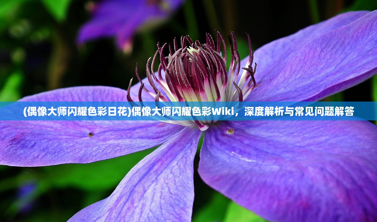 (偶像大师闪耀色彩日花)偶像大师闪耀色彩Wiki，深度解析与常见问题解答