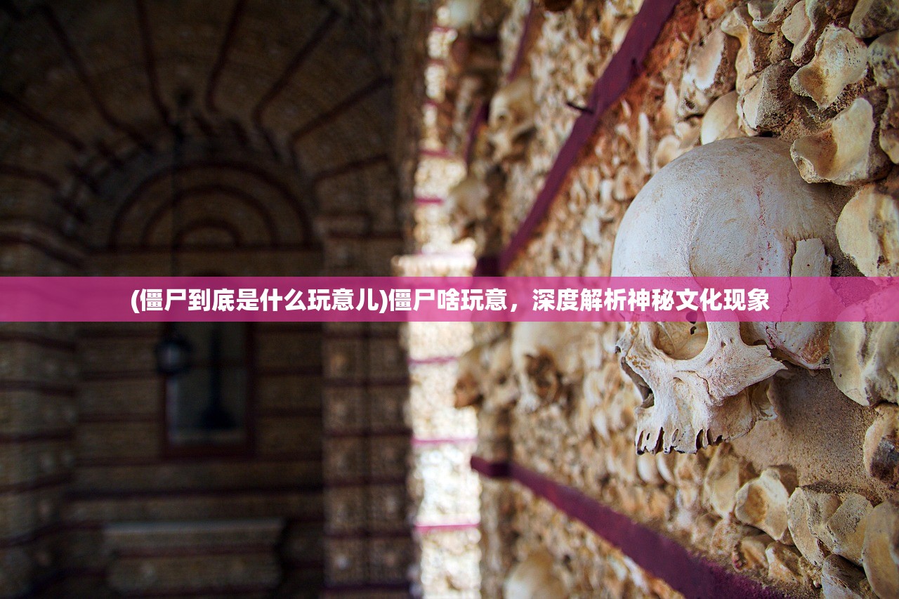 (僵尸到底是什么玩意儿)僵尸啥玩意，深度解析神秘文化现象