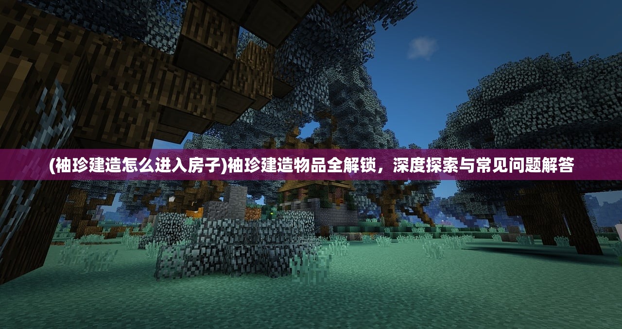 (袖珍建造怎么进入房子)袖珍建造物品全解锁，深度探索与常见问题解答