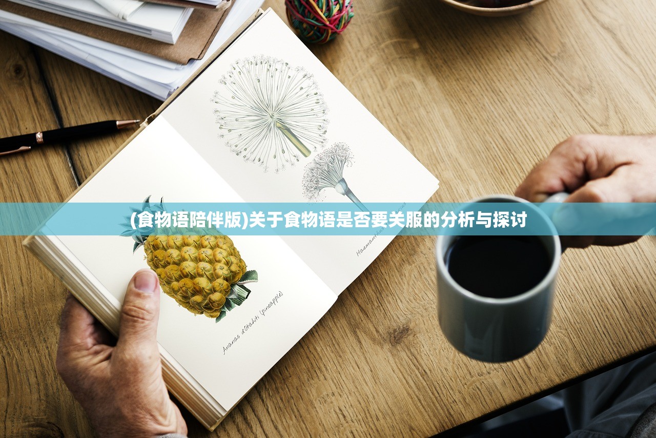 (食物语陪伴版)关于食物语是否要关服的分析与探讨