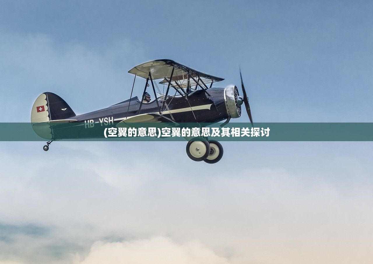(空翼的意思)空翼的意思及其相关探讨
