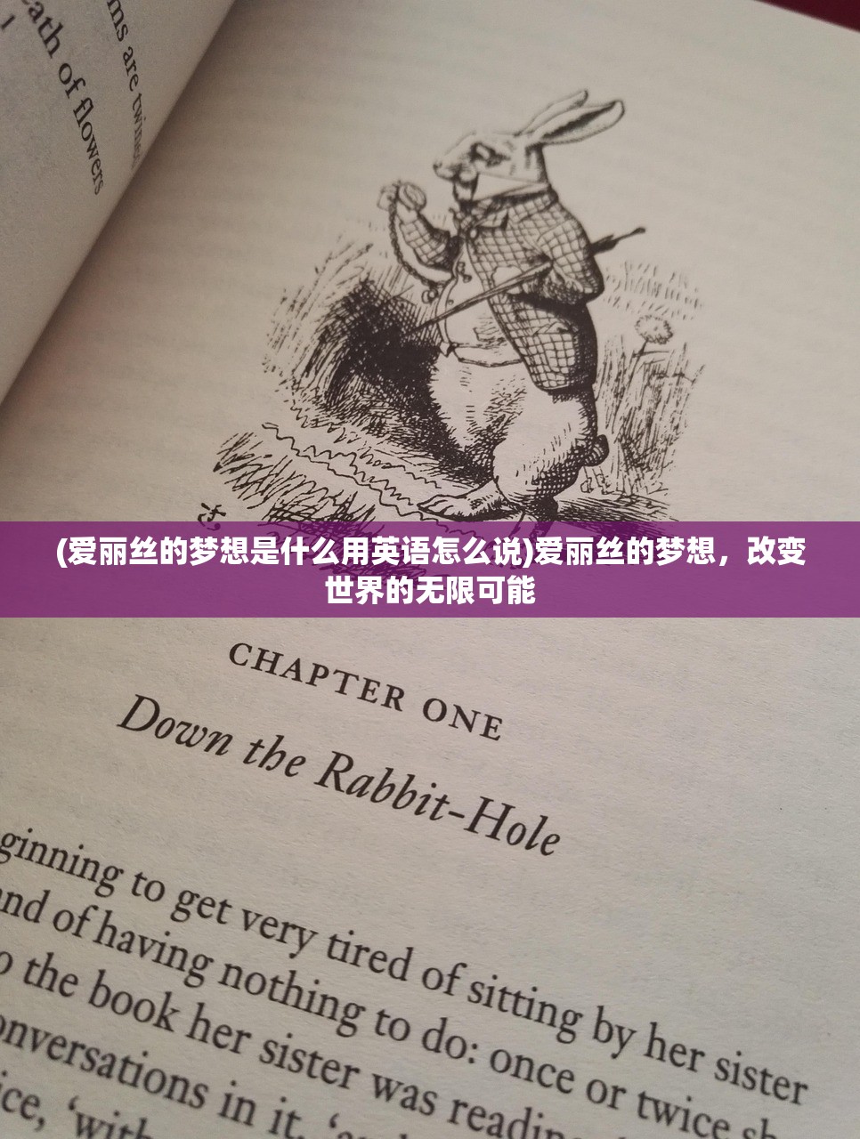 (爱丽丝的梦想是什么用英语怎么说)爱丽丝的梦想，改变世界的无限可能