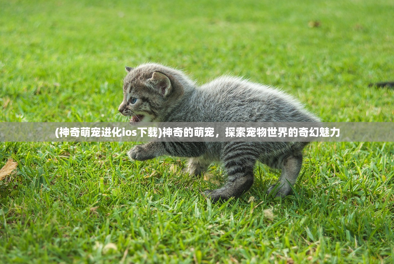 (神奇萌宠进化ios下载)神奇的萌宠，探索宠物世界的奇幻魅力