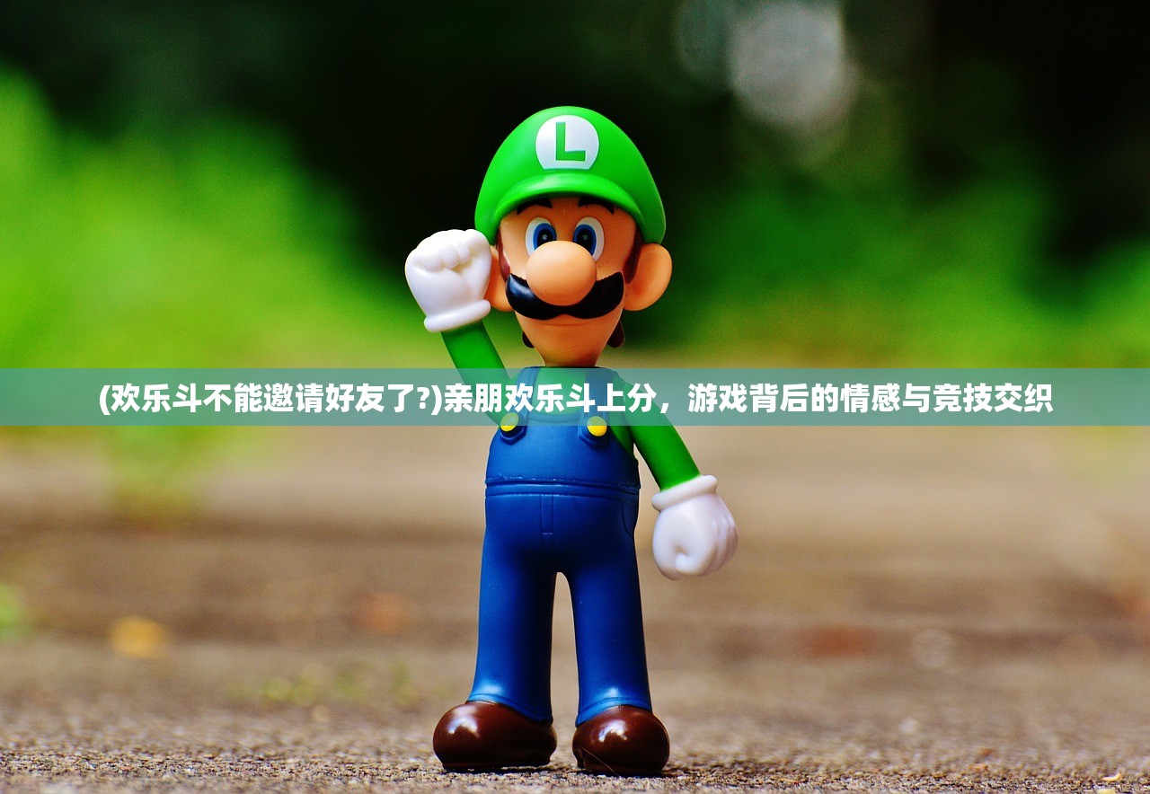(欢乐斗不能邀请好友了?)亲朋欢乐斗上分，游戏背后的情感与竞技交织