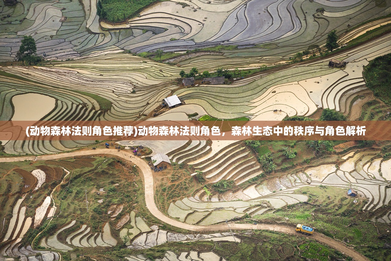 (动物森林法则角色推荐)动物森林法则角色，森林生态中的秩序与角色解析