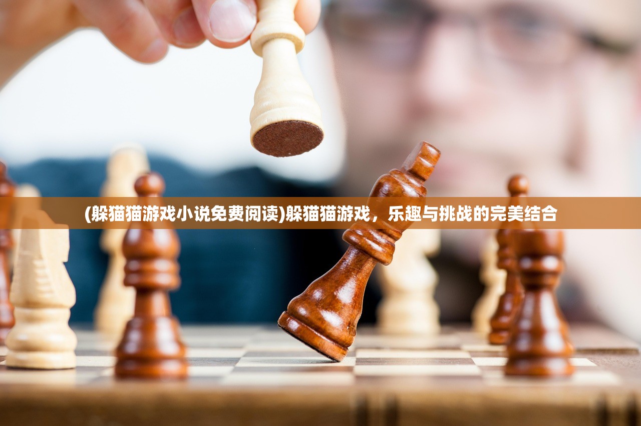 (躲猫猫游戏小说免费阅读)躲猫猫游戏，乐趣与挑战的完美结合
