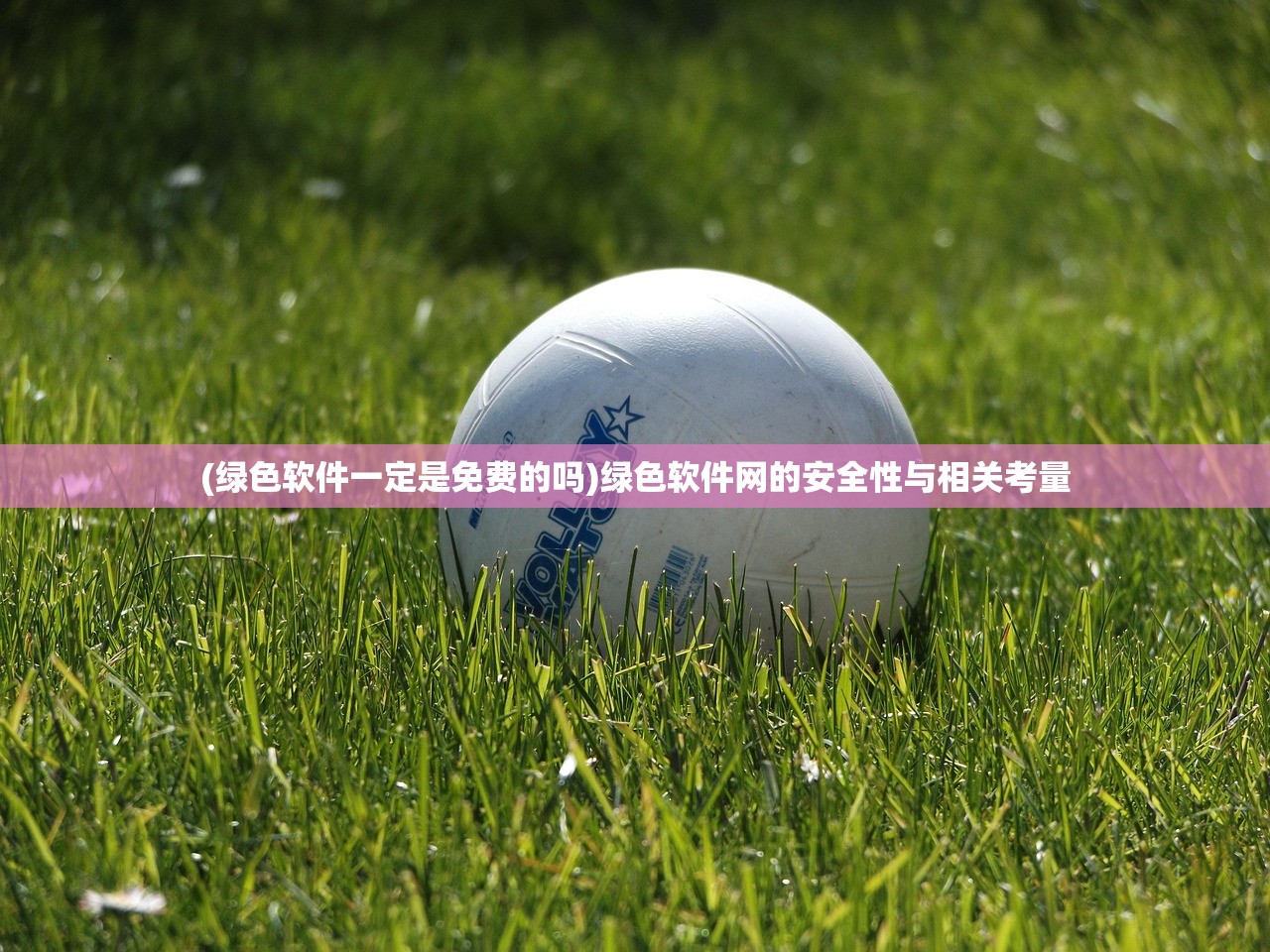 (绿色软件一定是免费的吗)绿色软件网的安全性与相关考量